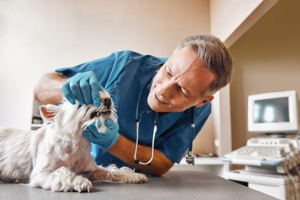 Best Emergency Root Canal Treatment in Fairchance, PA